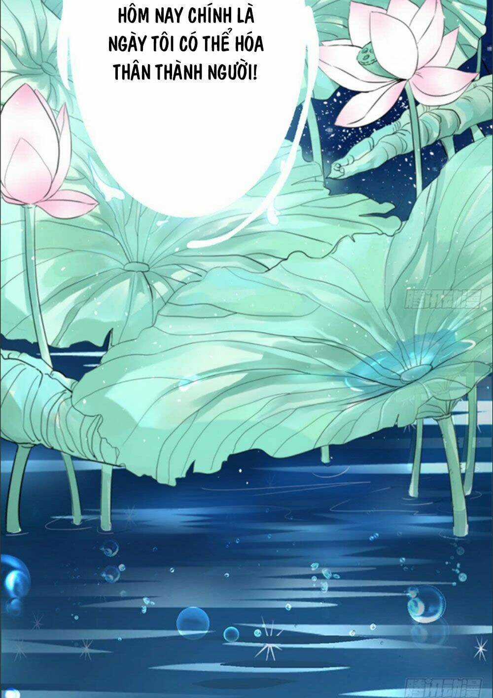 Cẩm Lý Thiếu Nữ Của Tôi Chapter 1 trang 11