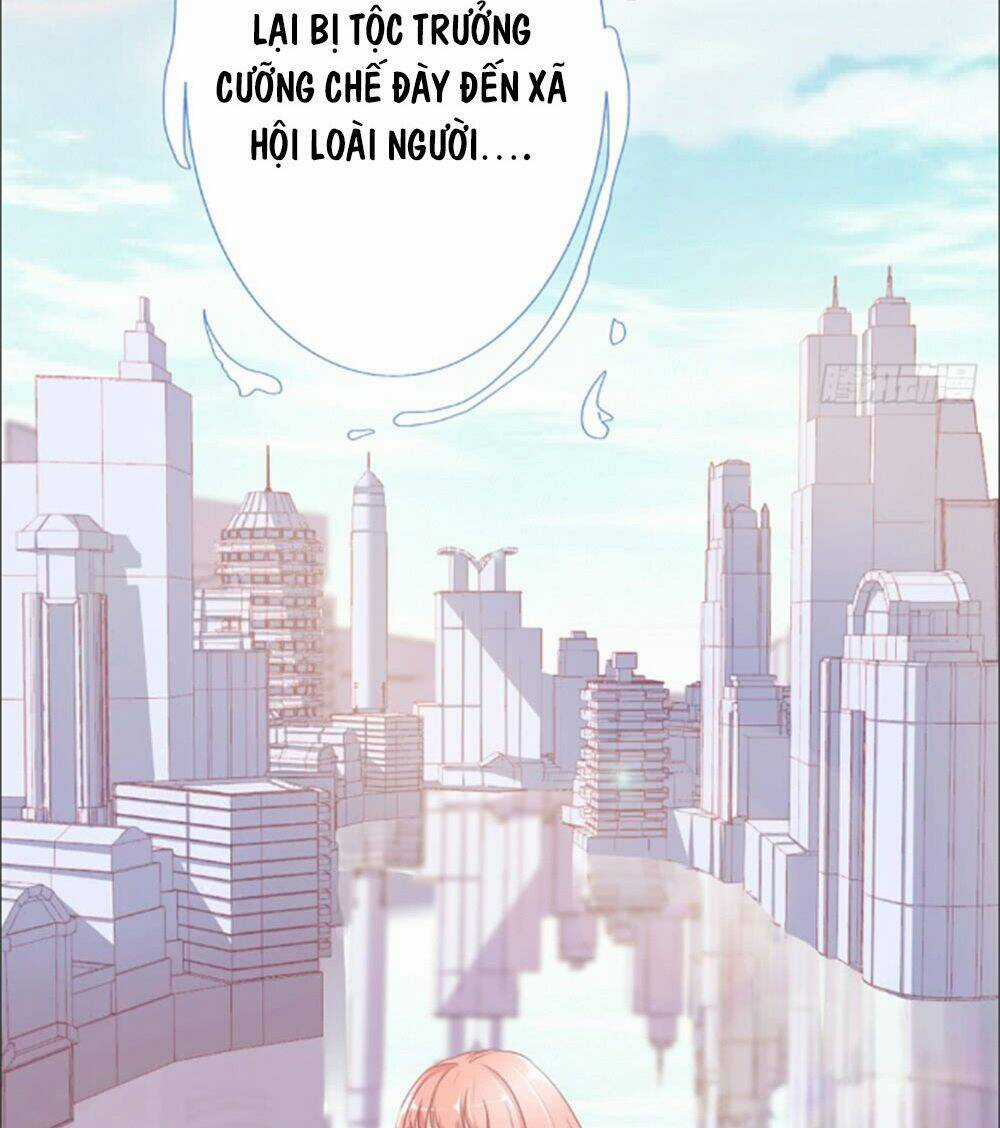 Cẩm Lý Thiếu Nữ Của Tôi Chapter 1 trang 15