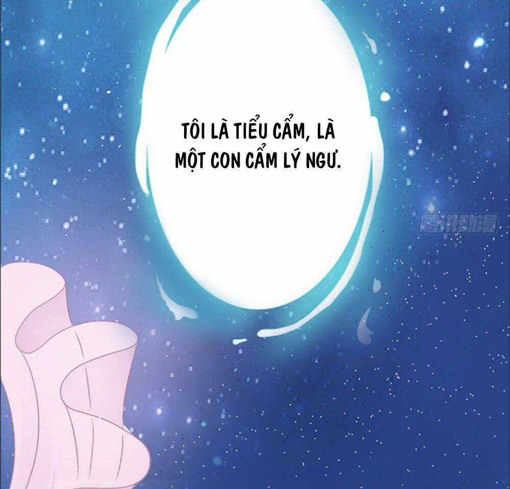 Cẩm Lý Thiếu Nữ Của Tôi Chapter 1 trang 2