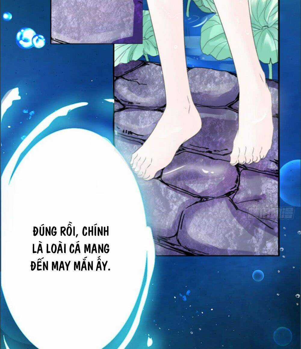 Cẩm Lý Thiếu Nữ Của Tôi Chapter 1 trang 7