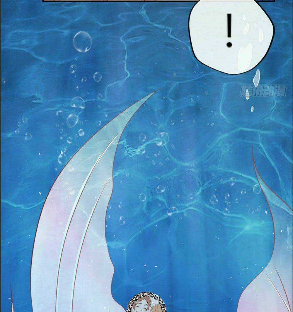 Cẩm Lý Thiếu Nữ Của Tôi Chapter 10.1 trang 24