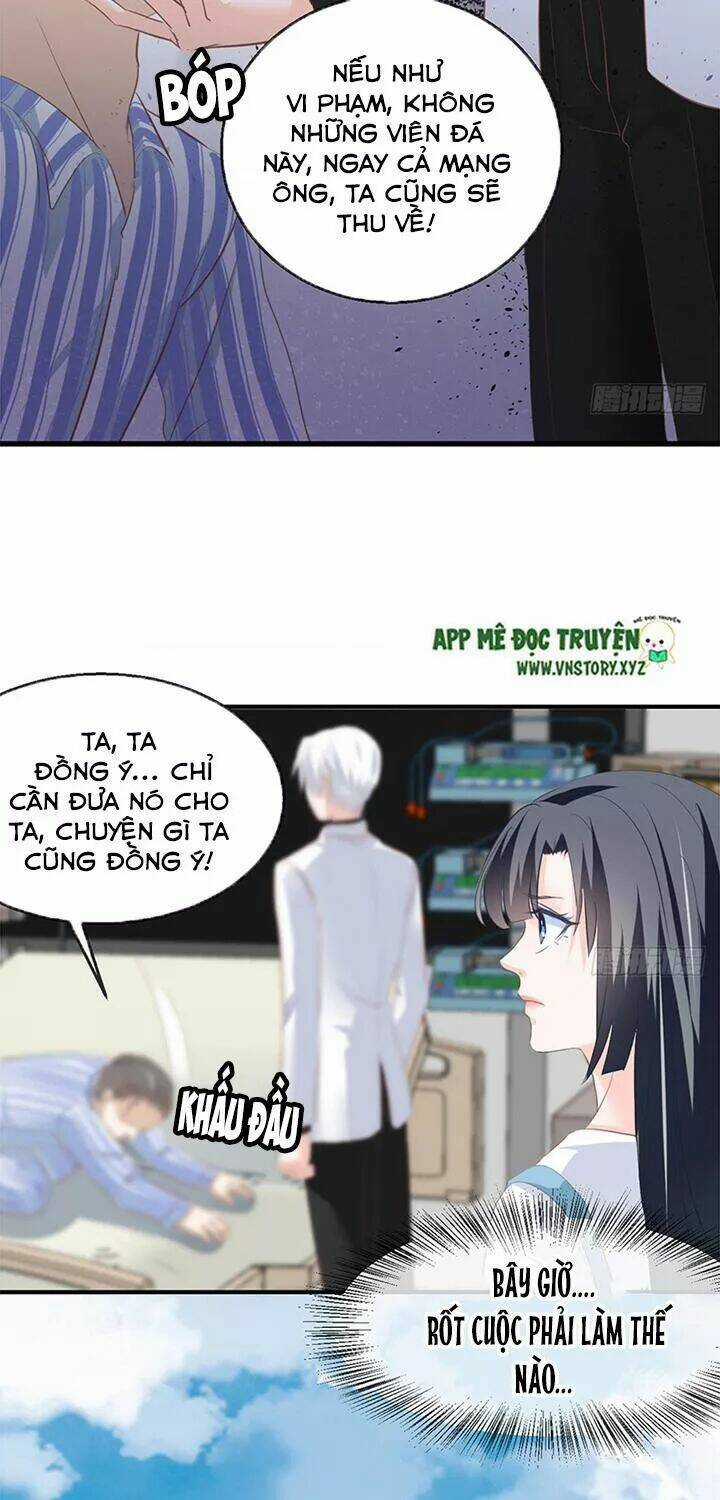 Cẩm Lý Thiếu Nữ Của Tôi Chapter 100 trang 24