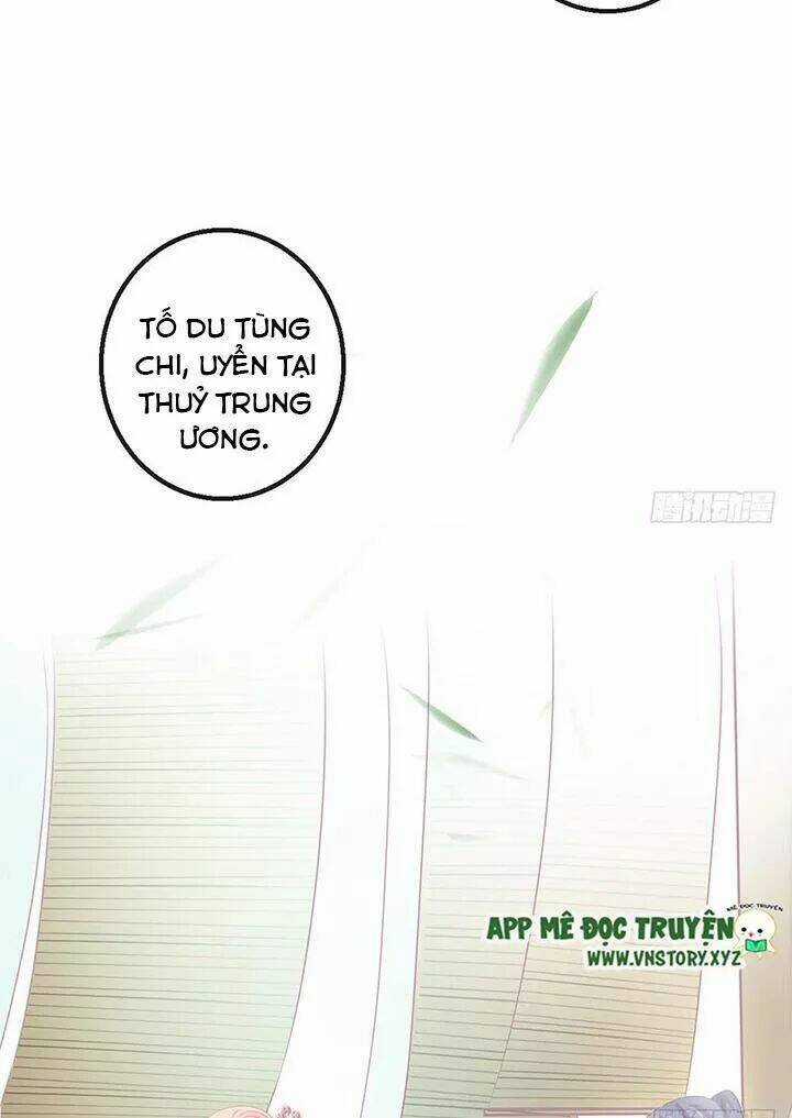 Cẩm Lý Thiếu Nữ Của Tôi Chapter 113 trang 16