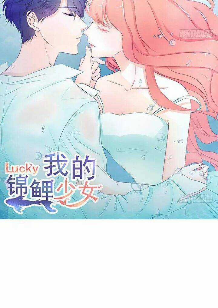 Cẩm Lý Thiếu Nữ Của Tôi Chapter 113 trang 2