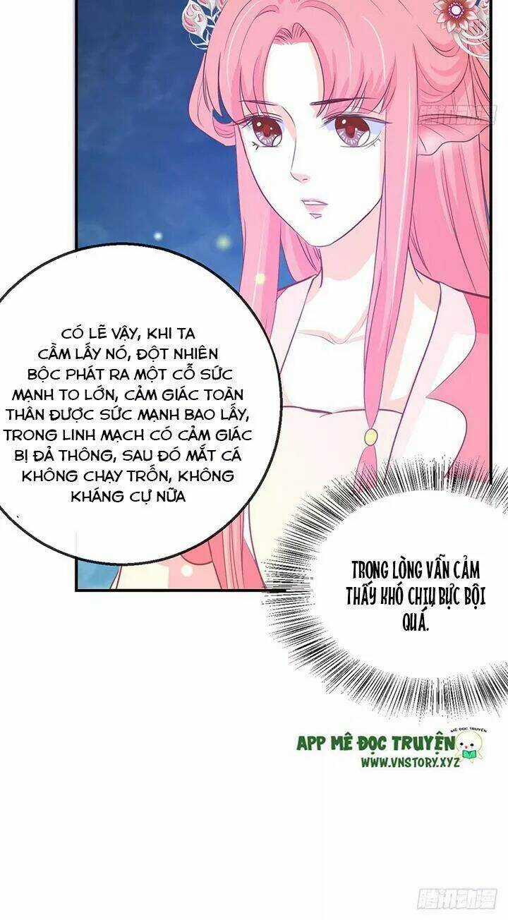 Cẩm Lý Thiếu Nữ Của Tôi Chapter 114 trang 13