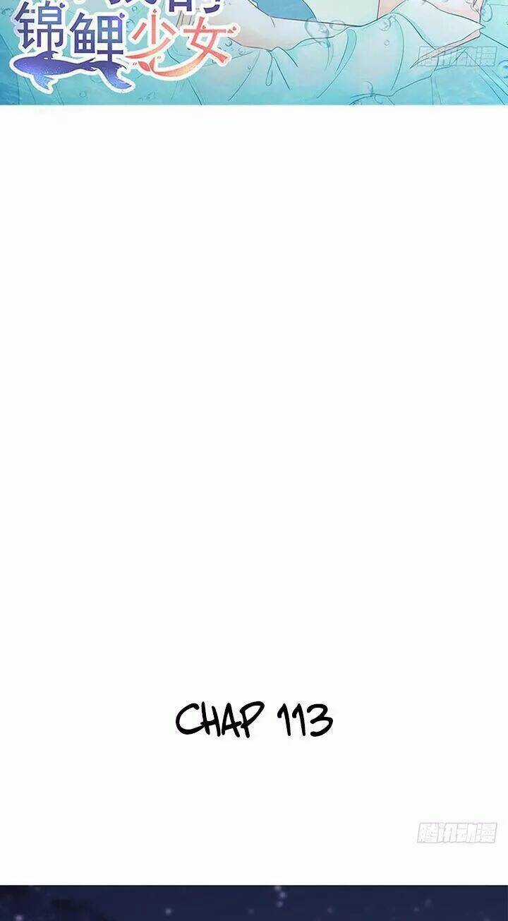 Cẩm Lý Thiếu Nữ Của Tôi Chapter 114 trang 2