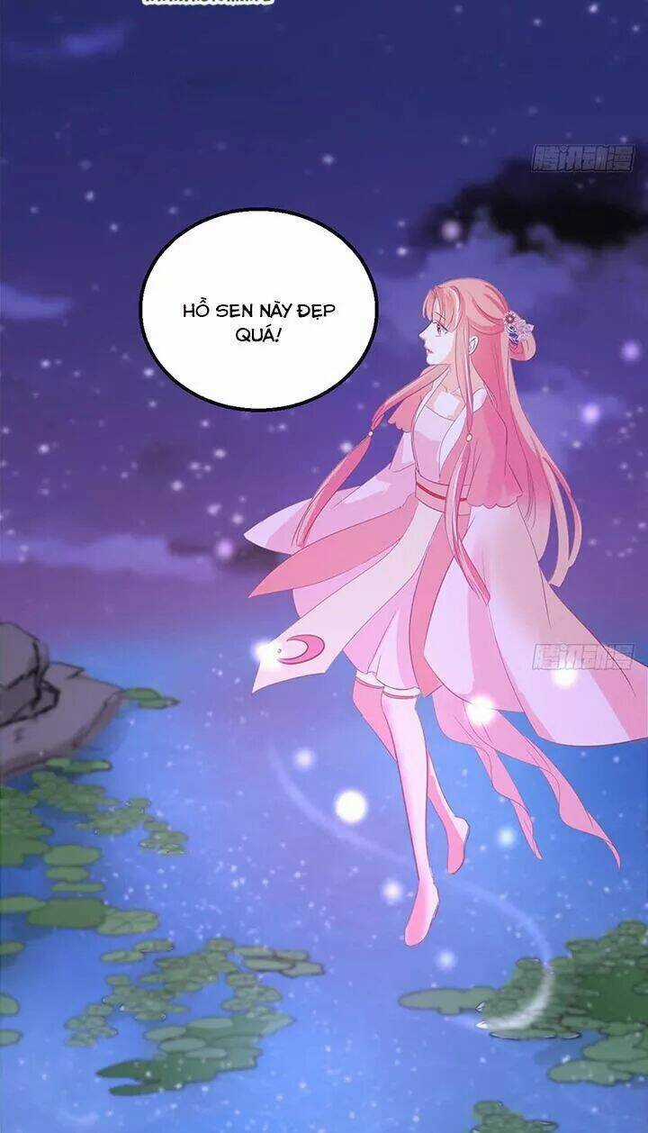 Cẩm Lý Thiếu Nữ Của Tôi Chapter 114 trang 20