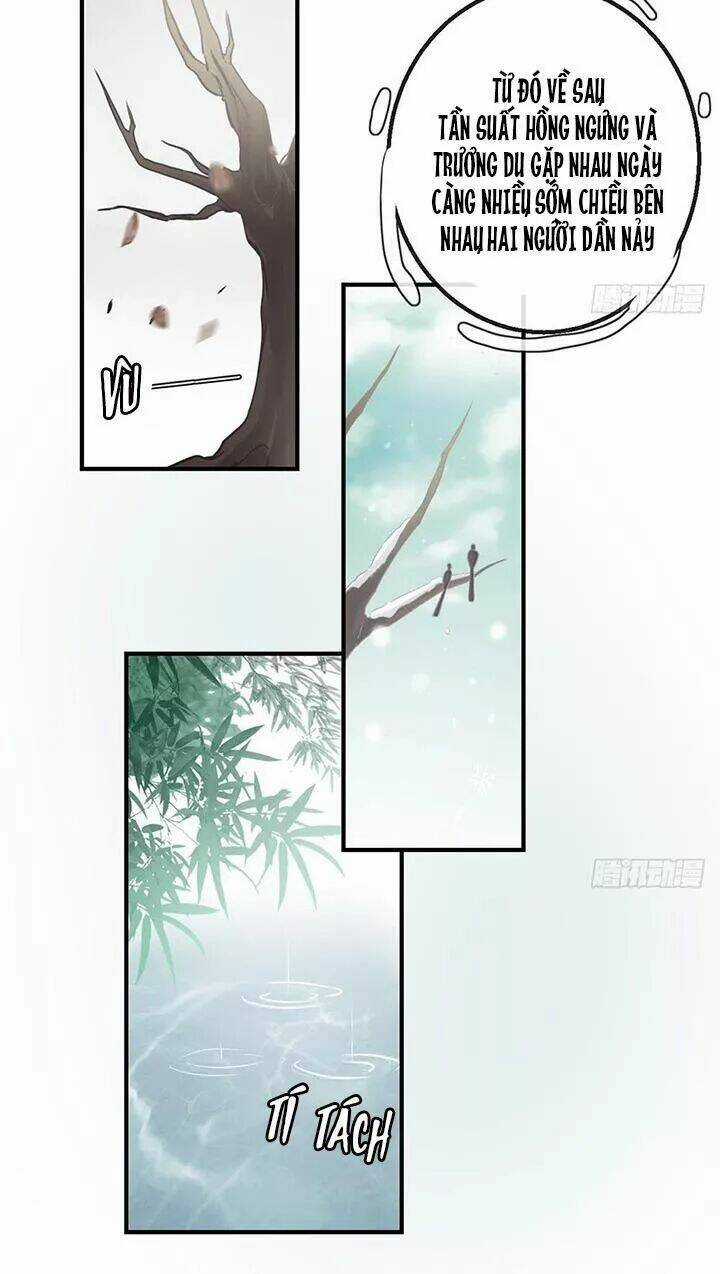 Cẩm Lý Thiếu Nữ Của Tôi Chapter 115 trang 15