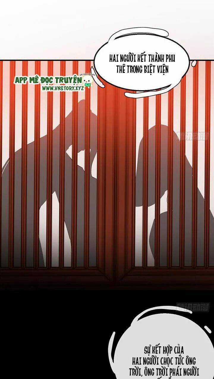 Cẩm Lý Thiếu Nữ Của Tôi Chapter 115 trang 23