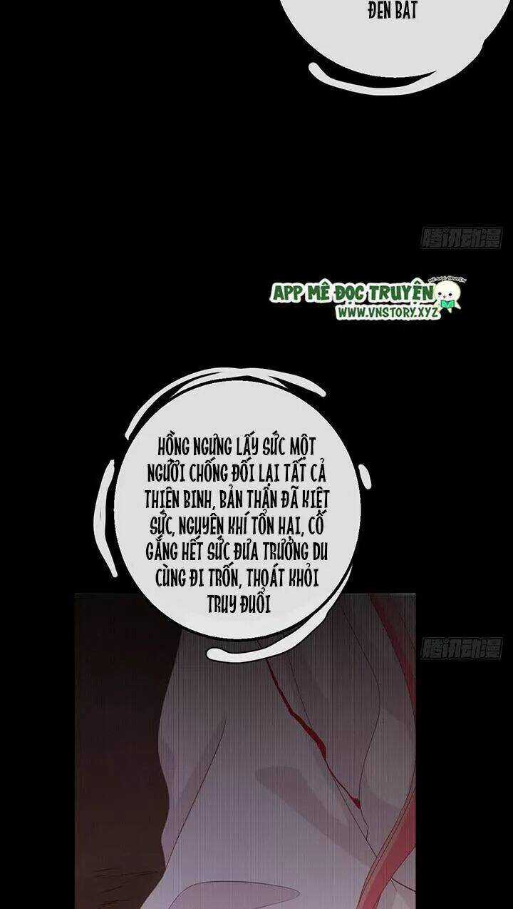 Cẩm Lý Thiếu Nữ Của Tôi Chapter 115 trang 24