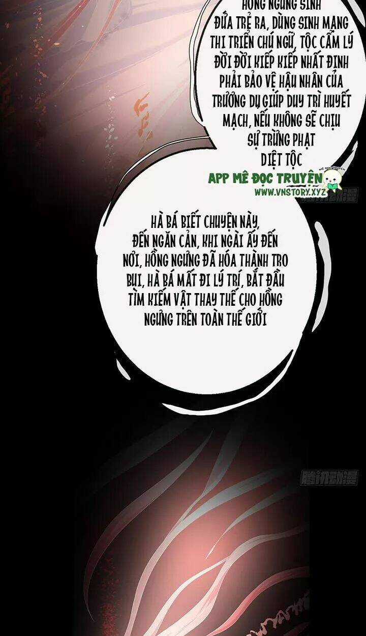 Cẩm Lý Thiếu Nữ Của Tôi Chapter 115 trang 35