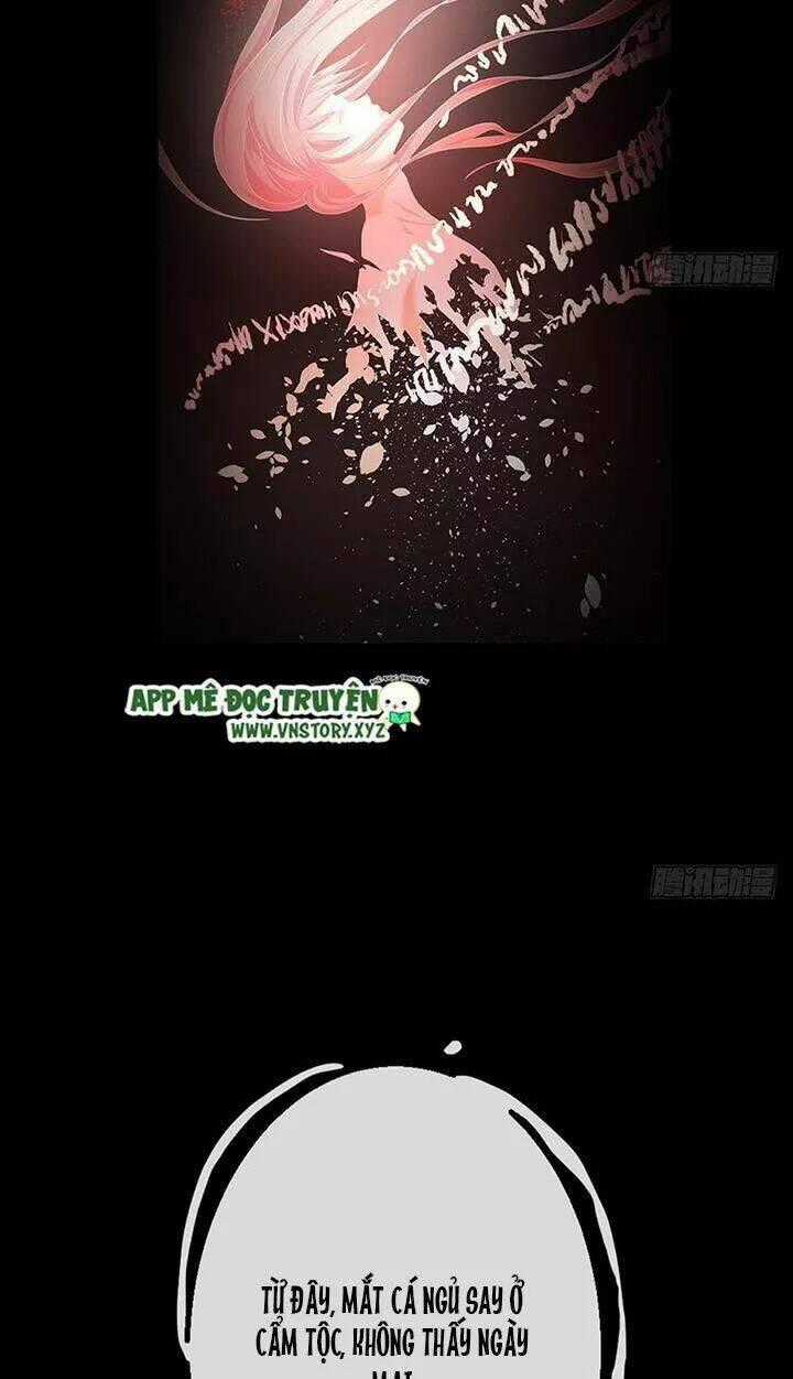 Cẩm Lý Thiếu Nữ Của Tôi Chapter 115 trang 36