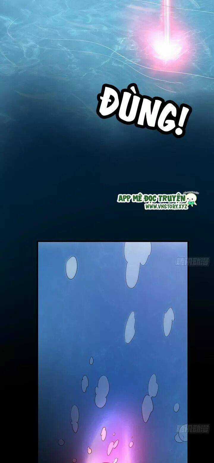 Cẩm Lý Thiếu Nữ Của Tôi Chapter 116 trang 24