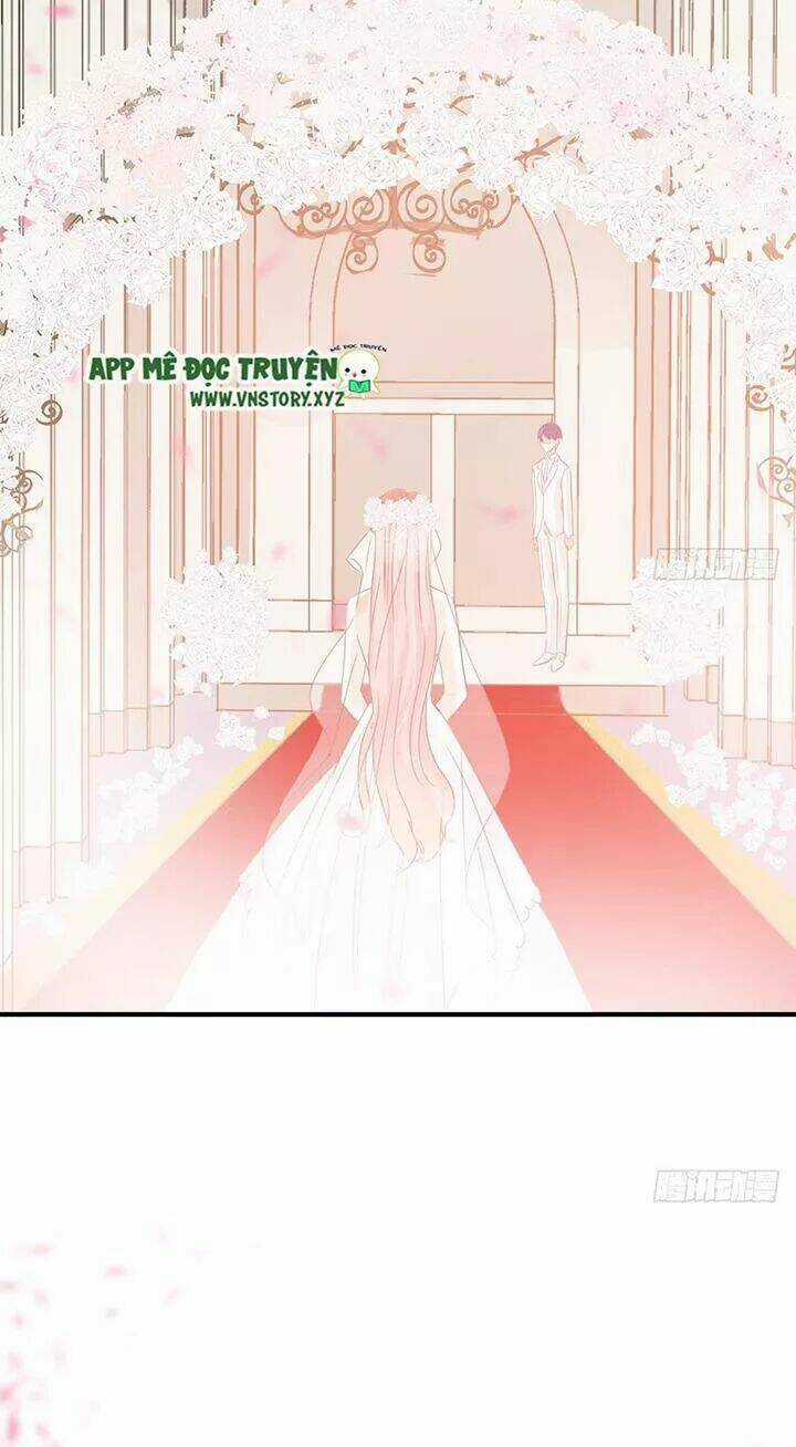 Cẩm Lý Thiếu Nữ Của Tôi Chapter 117 trang 24