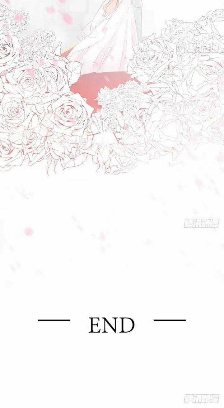 Cẩm Lý Thiếu Nữ Của Tôi Chapter 117 trang 29