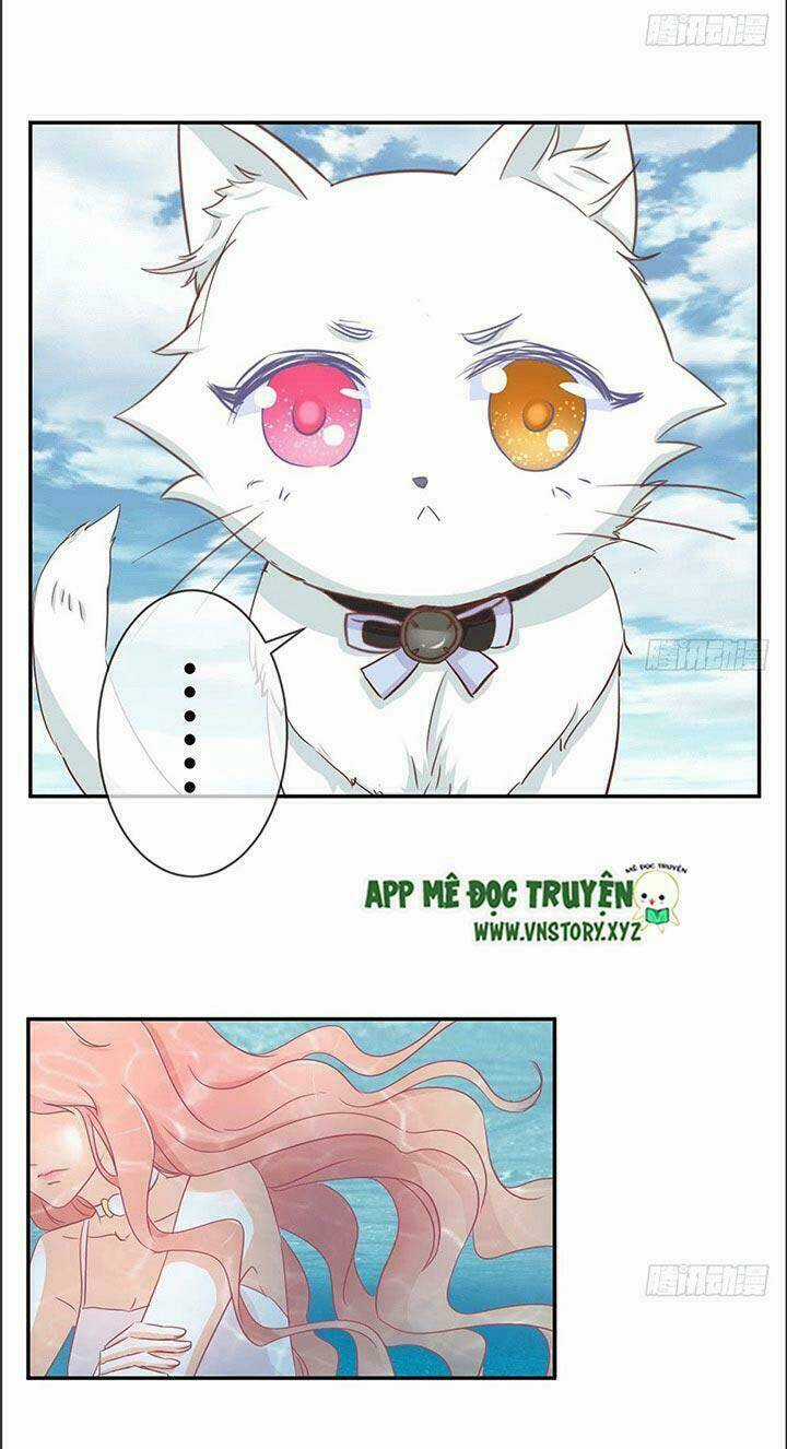 Cẩm Lý Thiếu Nữ Của Tôi Chapter 18 trang 2