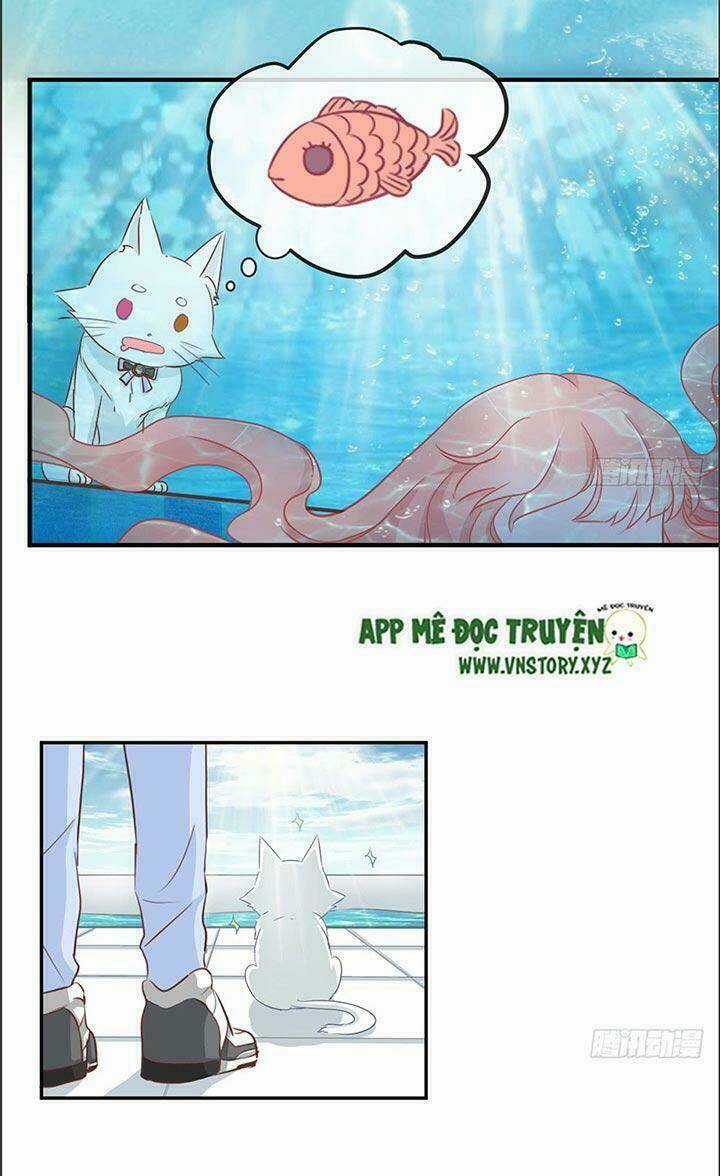 Cẩm Lý Thiếu Nữ Của Tôi Chapter 18 trang 5