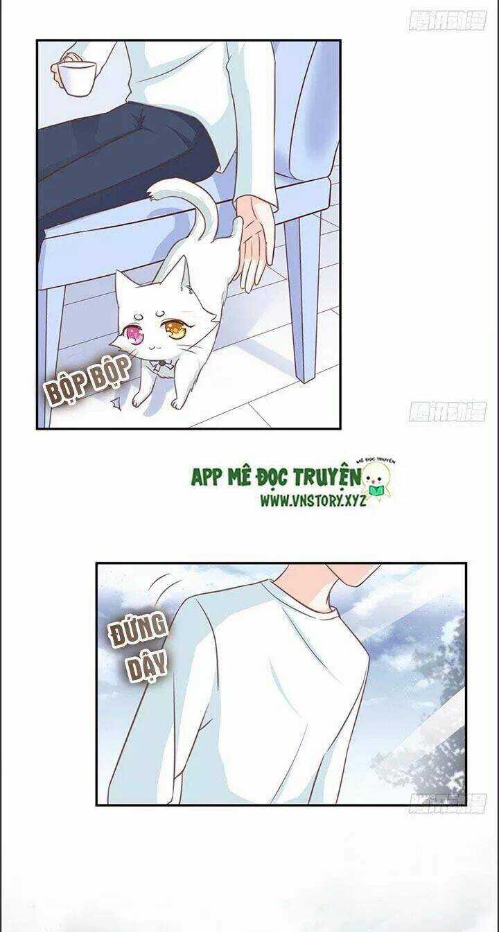 Cẩm Lý Thiếu Nữ Của Tôi Chapter 21 trang 6