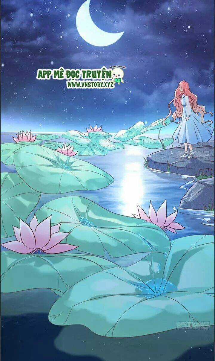 Cẩm Lý Thiếu Nữ Của Tôi Chapter 22 trang 34