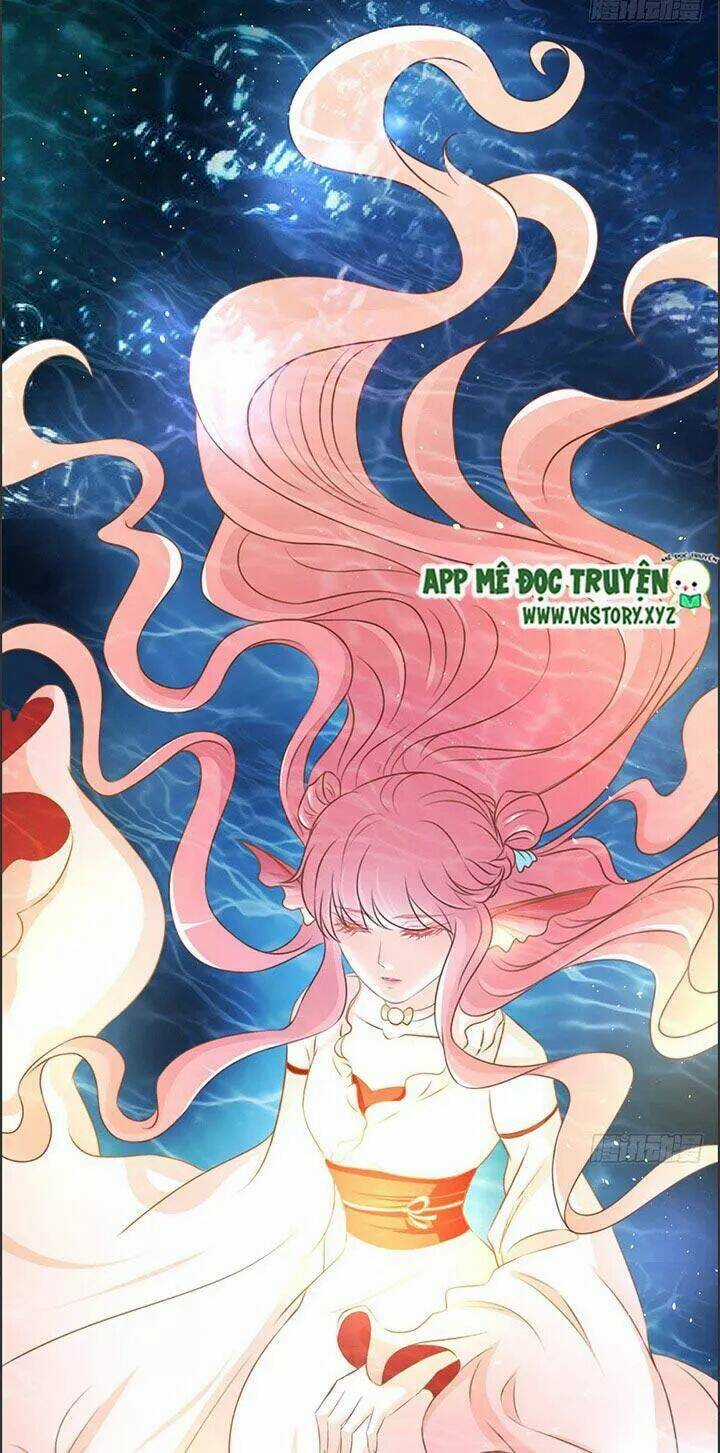 Cẩm Lý Thiếu Nữ Của Tôi Chapter 22 trang 40