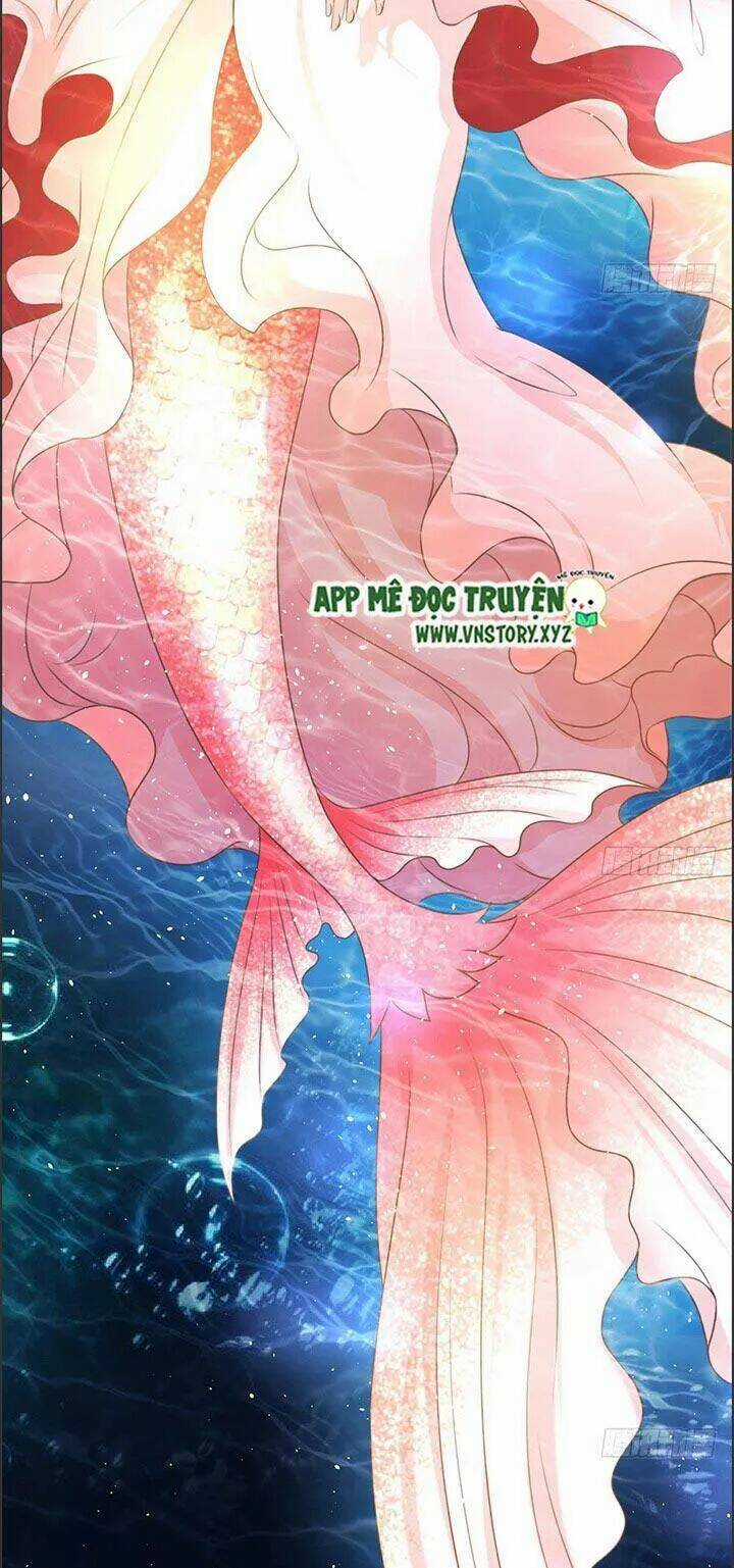 Cẩm Lý Thiếu Nữ Của Tôi Chapter 22 trang 41