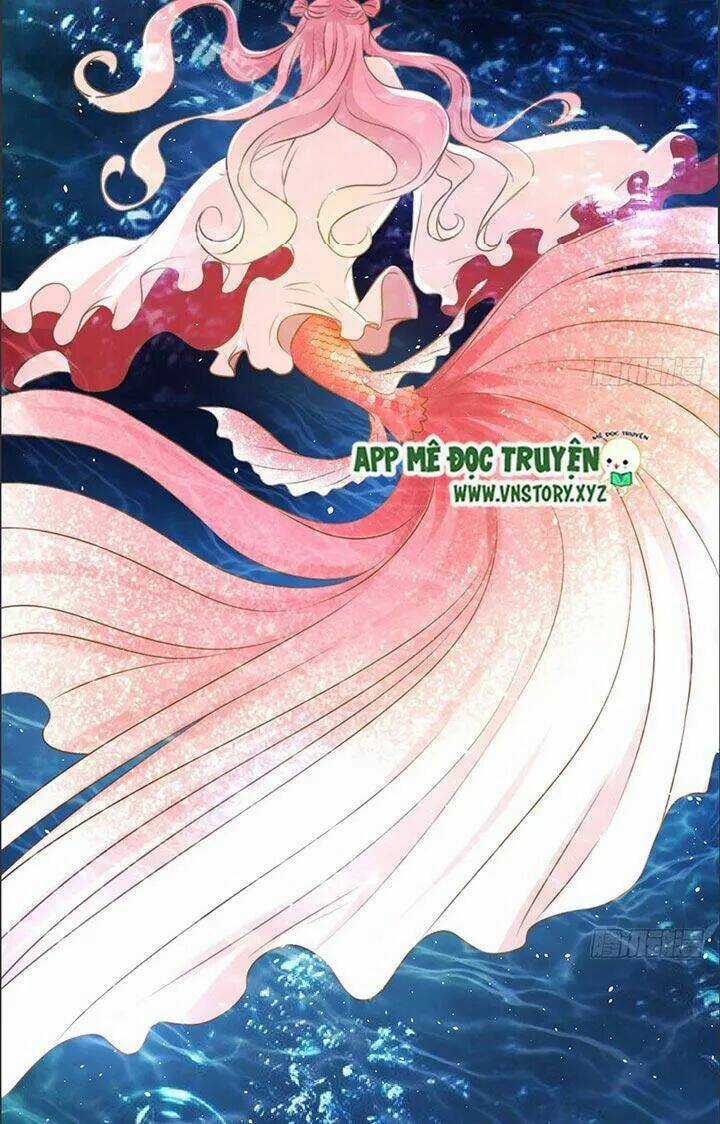 Cẩm Lý Thiếu Nữ Của Tôi Chapter 22 trang 43