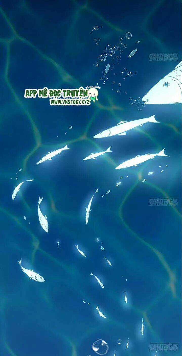 Cẩm Lý Thiếu Nữ Của Tôi Chapter 22 trang 70