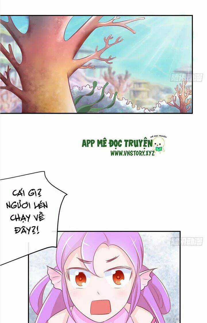 Cẩm Lý Thiếu Nữ Của Tôi Chapter 23 trang 4