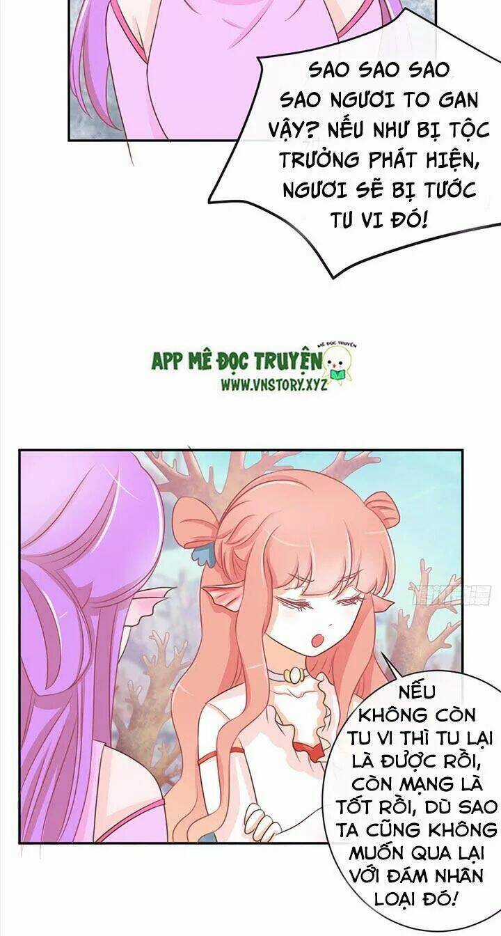 Cẩm Lý Thiếu Nữ Của Tôi Chapter 23 trang 5