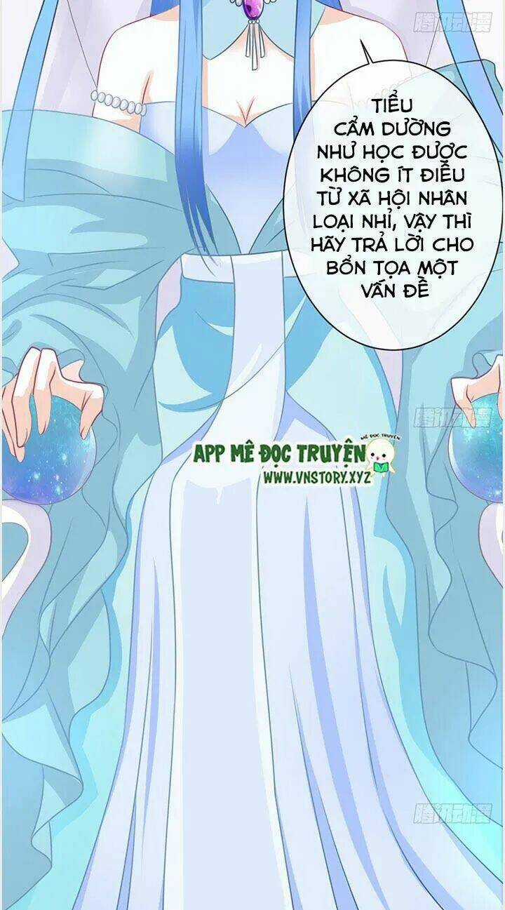 Cẩm Lý Thiếu Nữ Của Tôi Chapter 24 trang 25