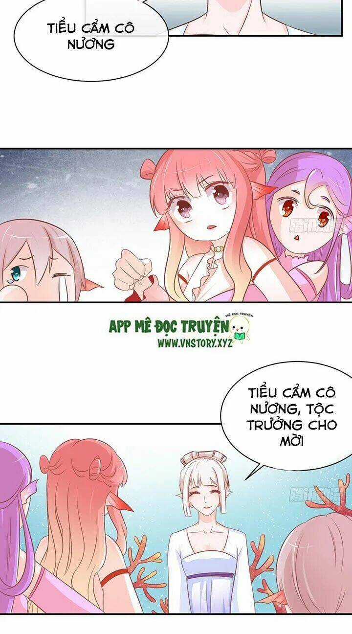 Cẩm Lý Thiếu Nữ Của Tôi Chapter 24 trang 6