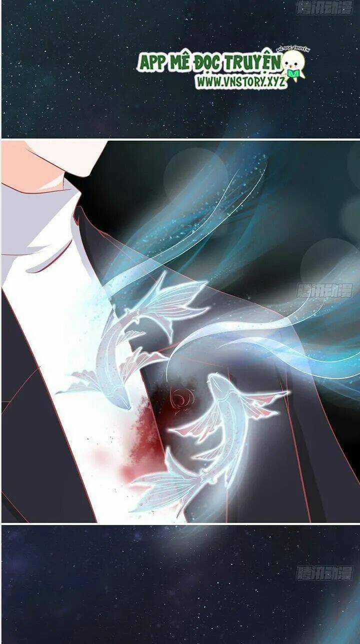 Cẩm Lý Thiếu Nữ Của Tôi Chapter 31 trang 11