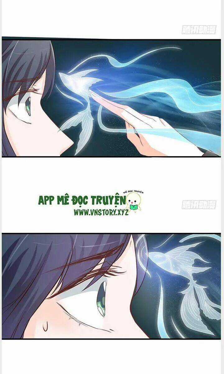 Cẩm Lý Thiếu Nữ Của Tôi Chapter 35 trang 13