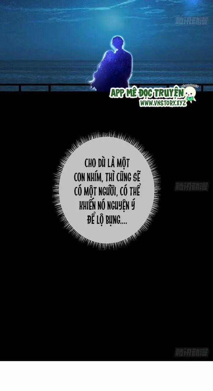 Cẩm Lý Thiếu Nữ Của Tôi Chapter 37 trang 53