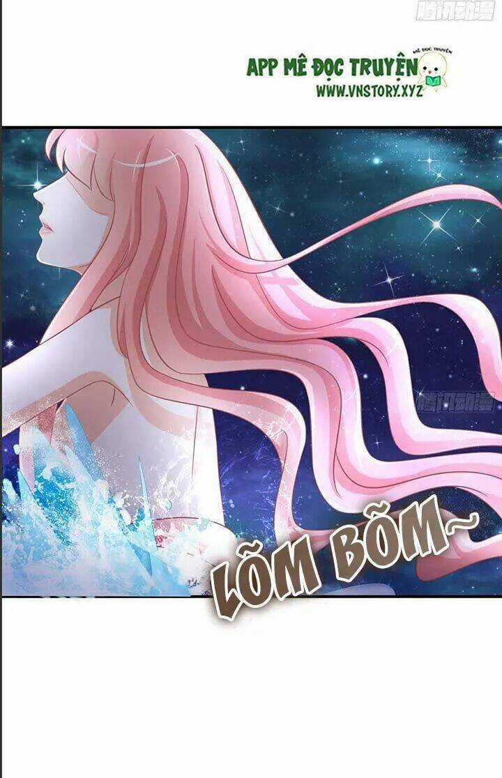 Cẩm Lý Thiếu Nữ Của Tôi Chapter 40 trang 24