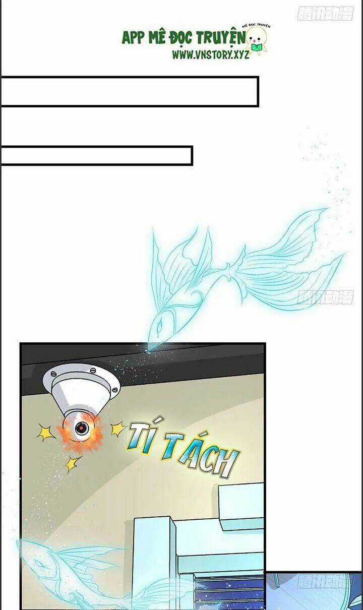 Cẩm Lý Thiếu Nữ Của Tôi Chapter 43 trang 14