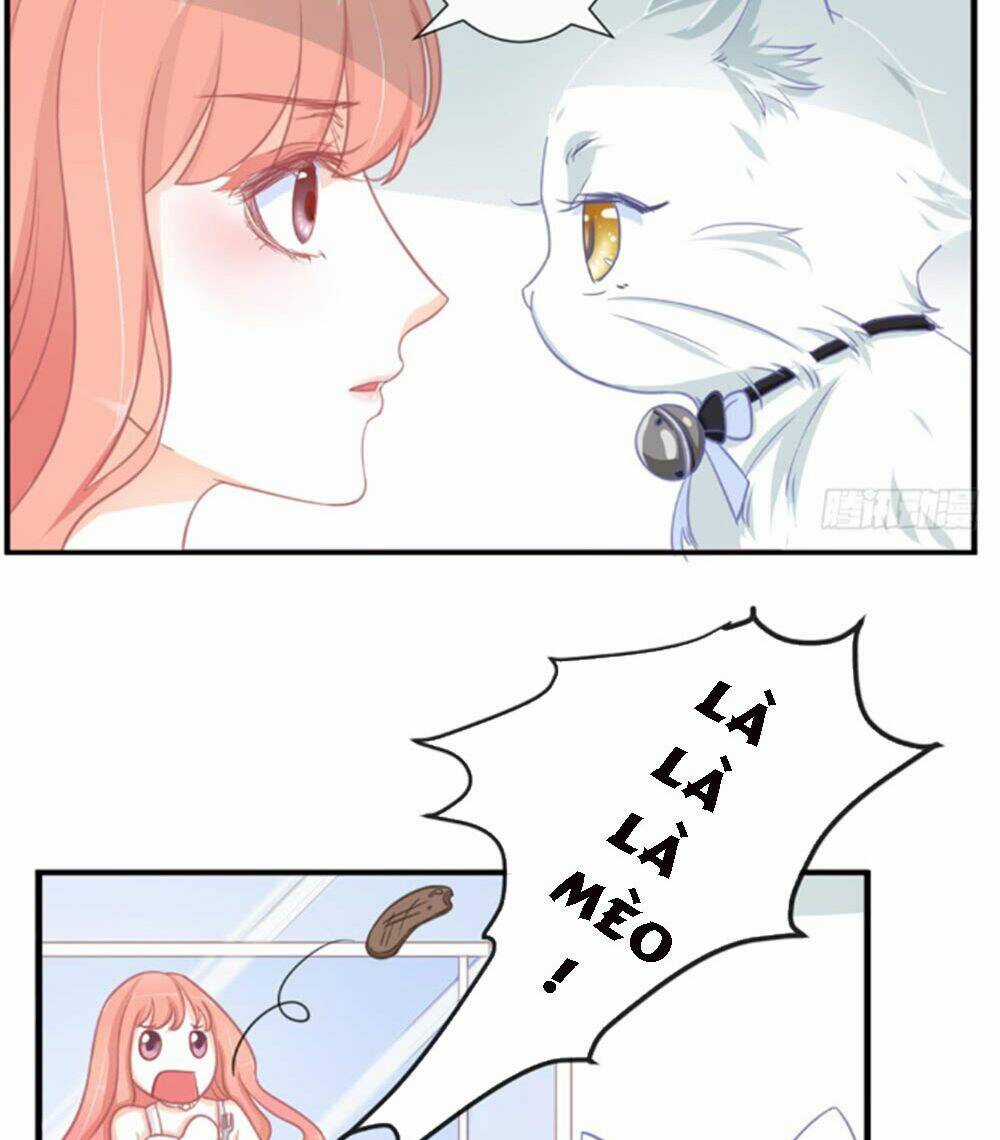 Cẩm Lý Thiếu Nữ Của Tôi Chapter 5.3 trang 15