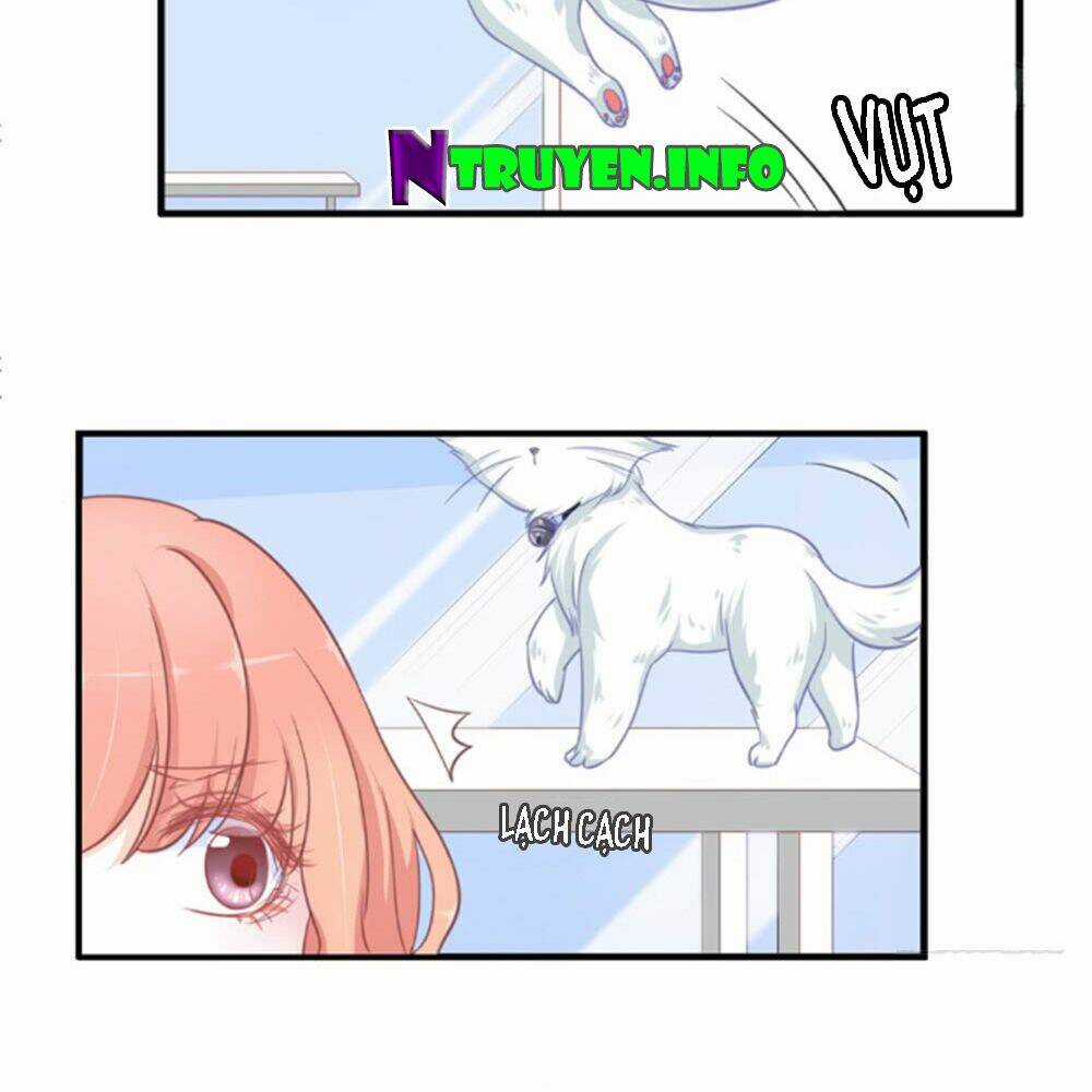 Cẩm Lý Thiếu Nữ Của Tôi Chapter 5.3 trang 17