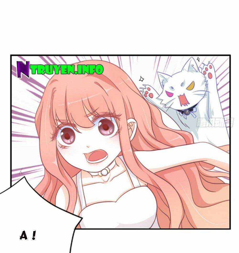 Cẩm Lý Thiếu Nữ Của Tôi Chapter 5.3 trang 25