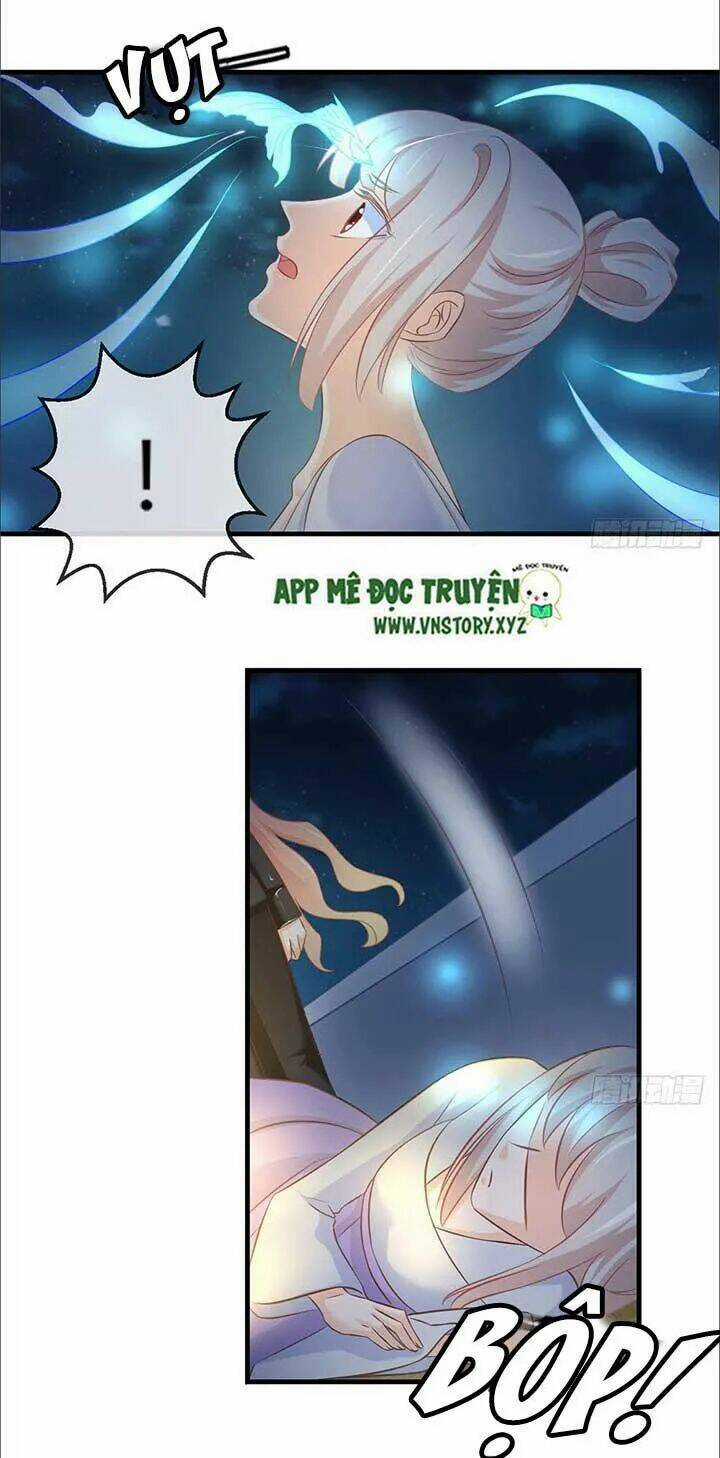 Cẩm Lý Thiếu Nữ Của Tôi Chapter 53 trang 17