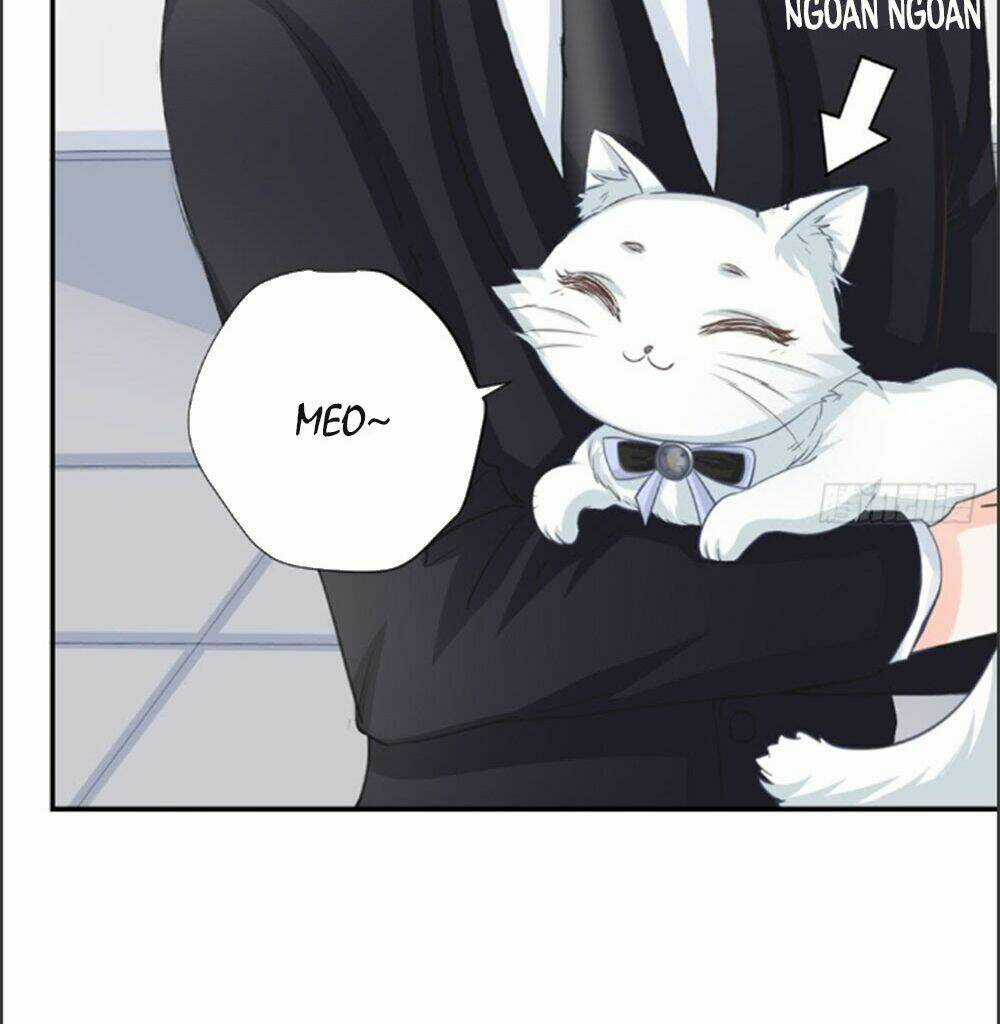 Cẩm Lý Thiếu Nữ Của Tôi Chapter 6.1 trang 11