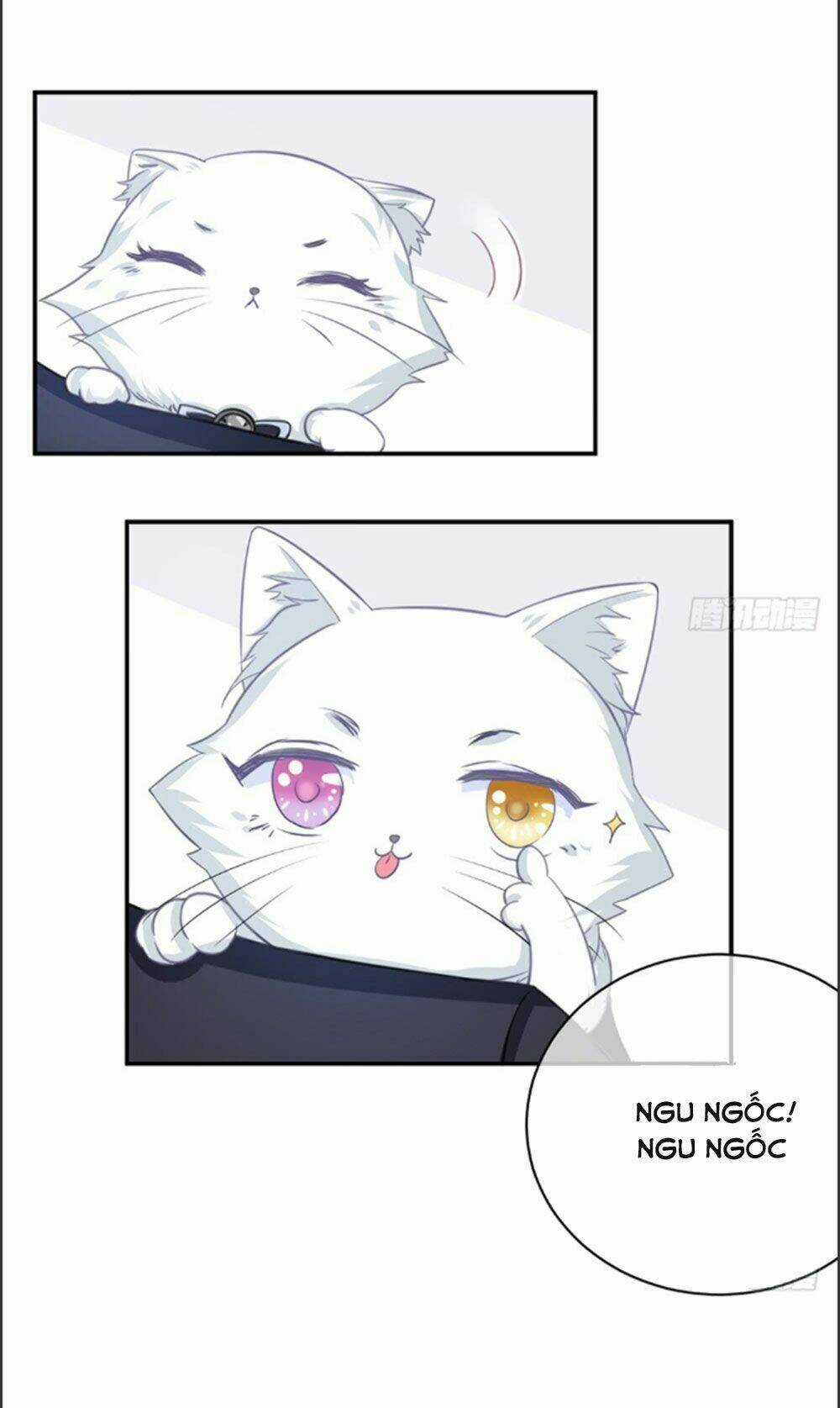 Cẩm Lý Thiếu Nữ Của Tôi Chapter 6.1 trang 14