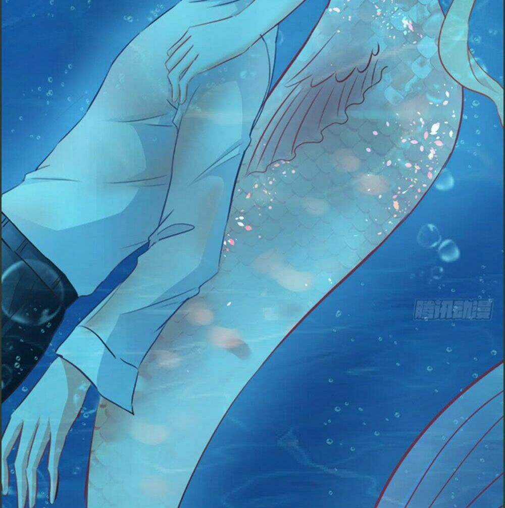 Cẩm Lý Thiếu Nữ Của Tôi Chapter 9.4 trang 20