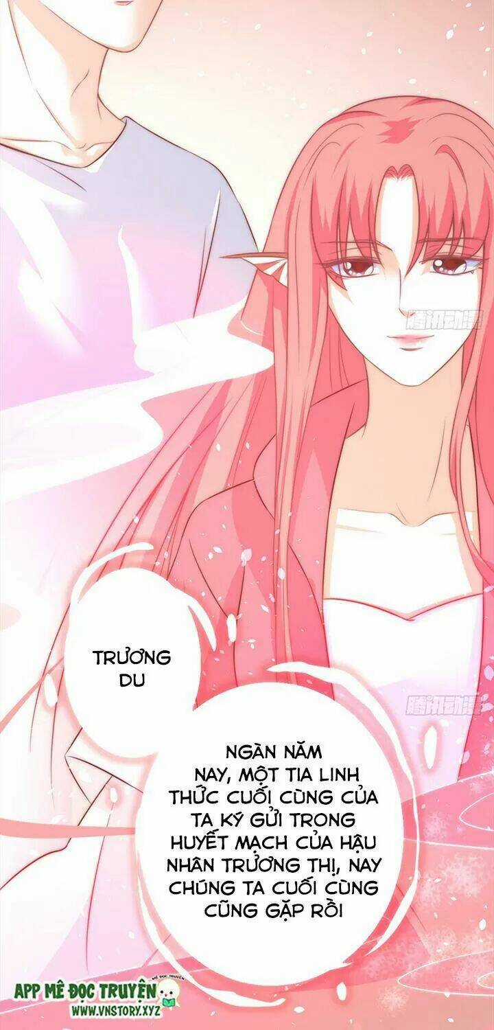 Cẩm Lý Thiếu Nữ Của Tôi Chapter 95 trang 13