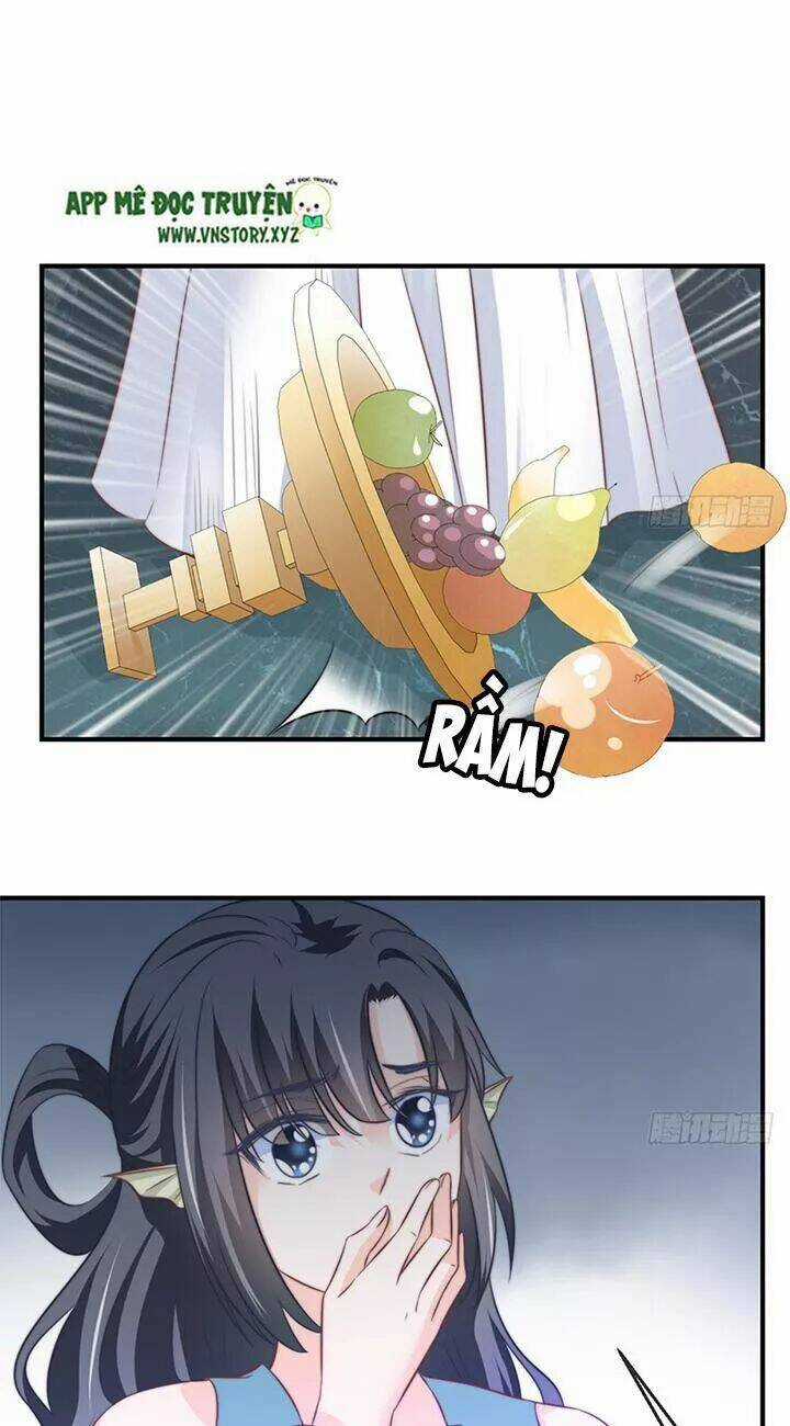 Cẩm Lý Thiếu Nữ Của Tôi Chapter 96 trang 13