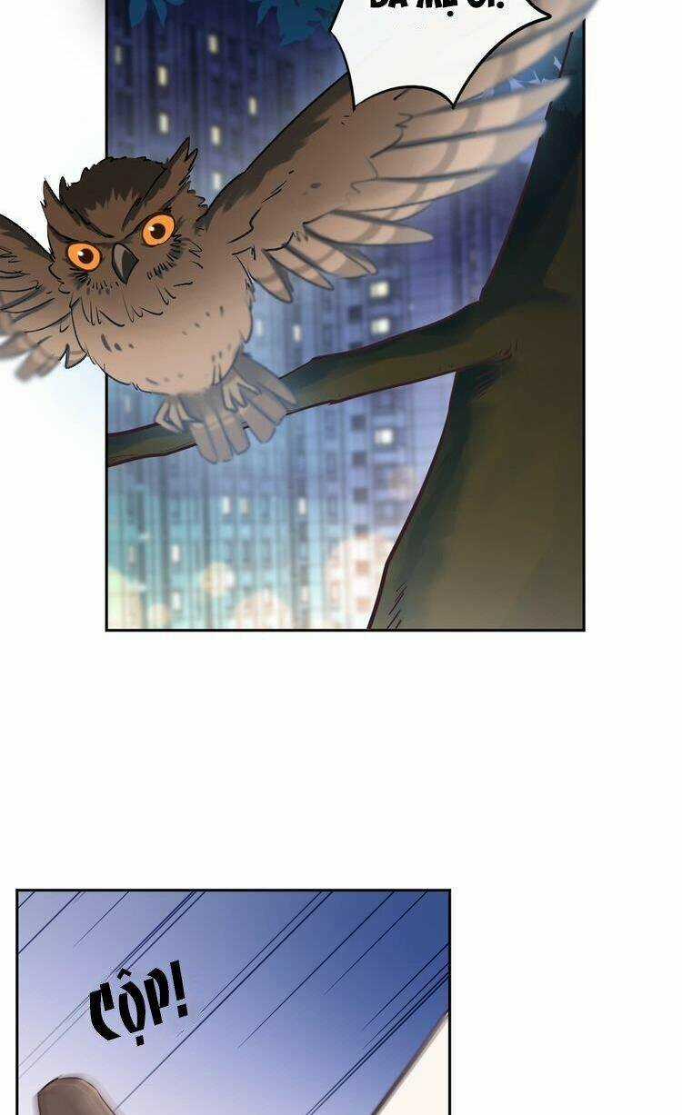 Cẩm Nang Tấn Công Tra Nam Chapter 17 trang 4