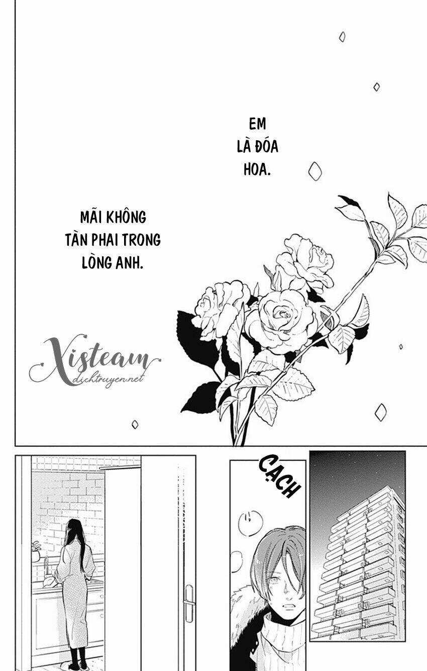 Cảm Xúc Ngọt Ngào Chapter 62.5 trang 51