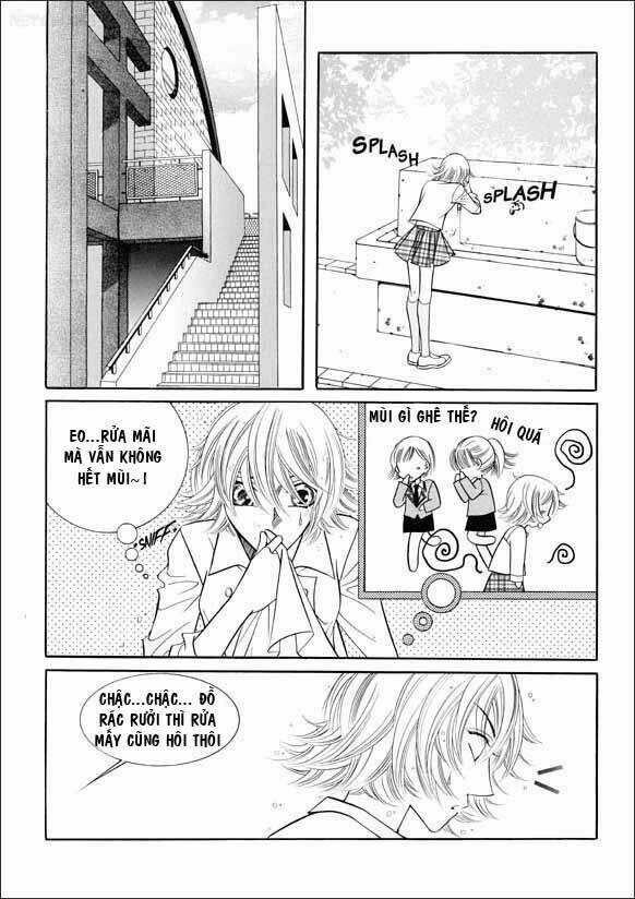 Can't Lose You Chapter 1 trang 15