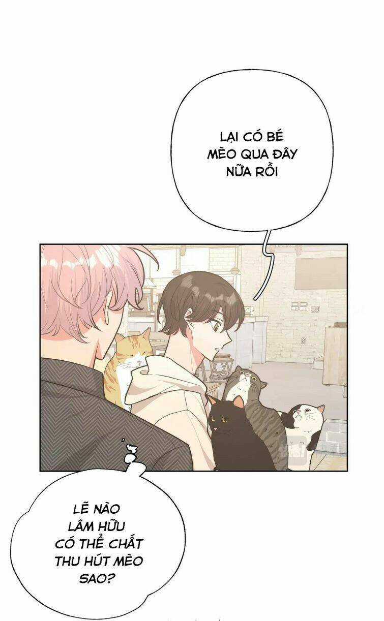 Cẩn Thận Bị Mộng Ma Ăn Mất Đó! Chapter 64 trang 10