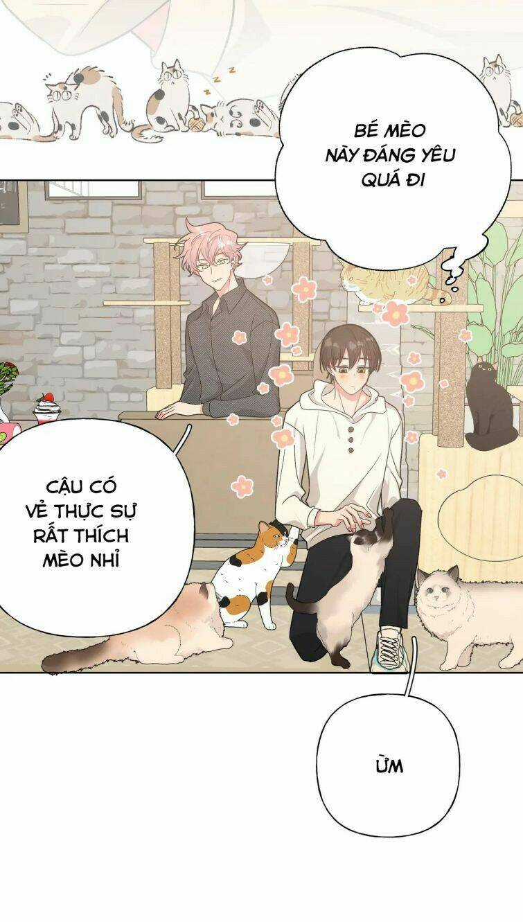 Cẩn Thận Bị Mộng Ma Ăn Mất Đó! Chapter 64 trang 4